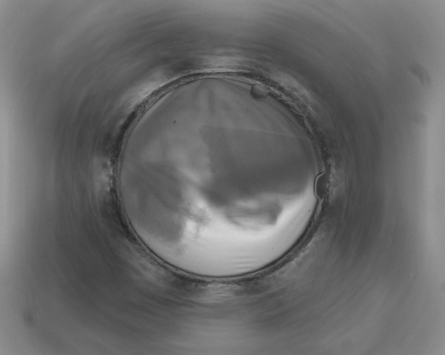 X0000113301449200910131037