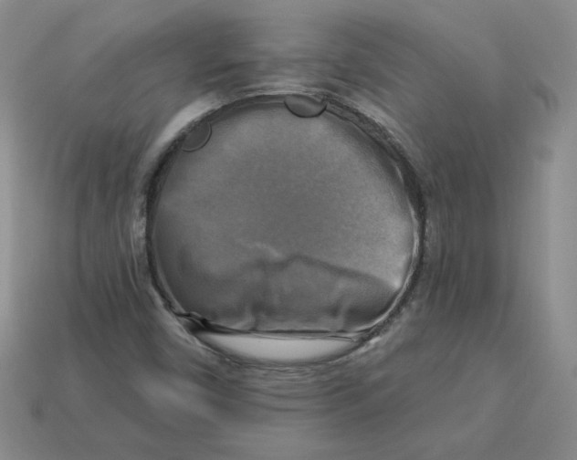 X0000113301450200910131037