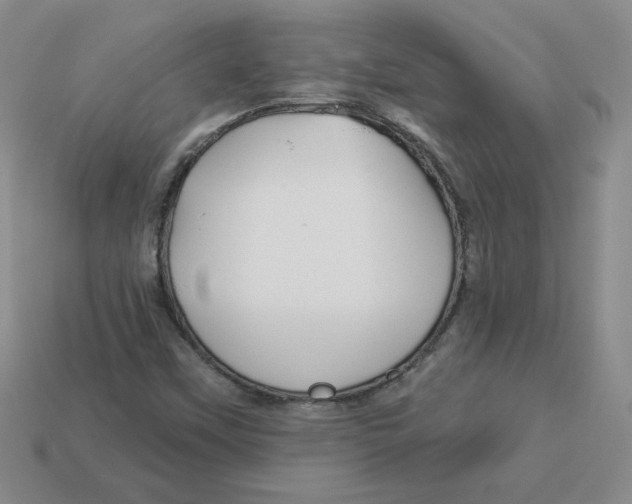 X0000113301451200910131037