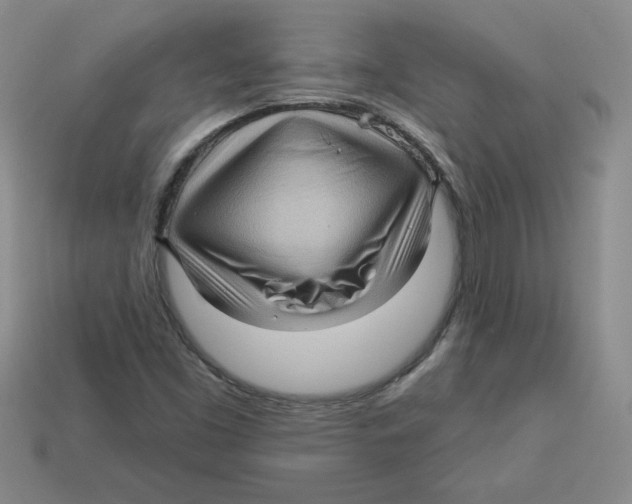 X0000113301453200910131037