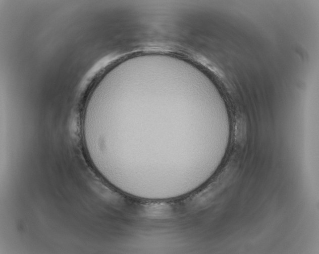 X0000113301454200910131037