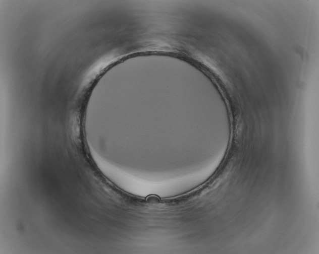 X0000113301455200910131037