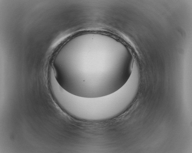 X0000113301456200910131037