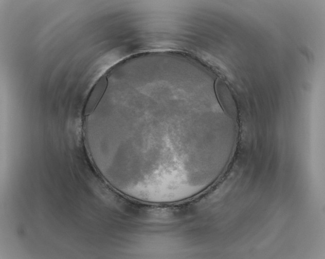 X0000113301457200910131037