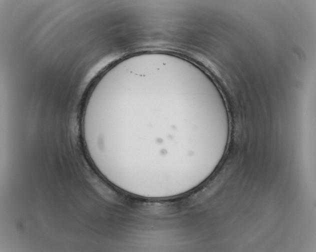 X0000113301458200910131037