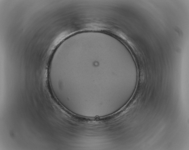 X0000113301459200910131037