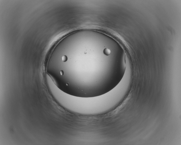 X0000113301461200910131037
