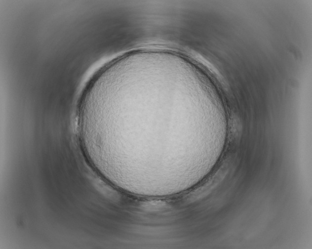 X0000113301462200910131037