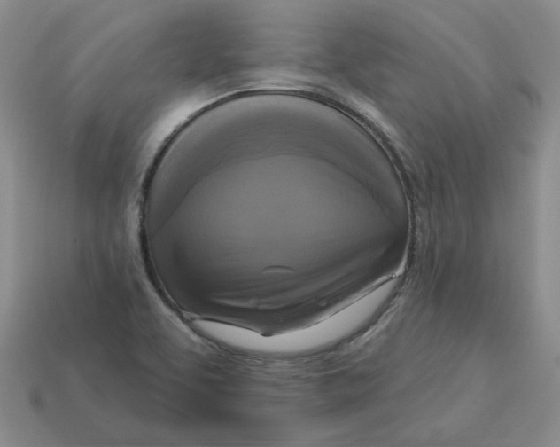 X0000113301463200910131037