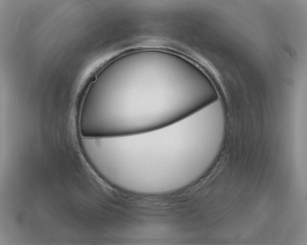 X0000113301464200910131037