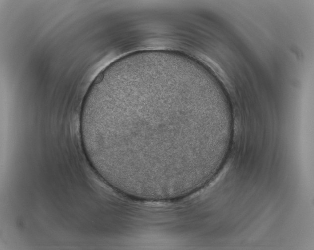 X0000113301465200910131037