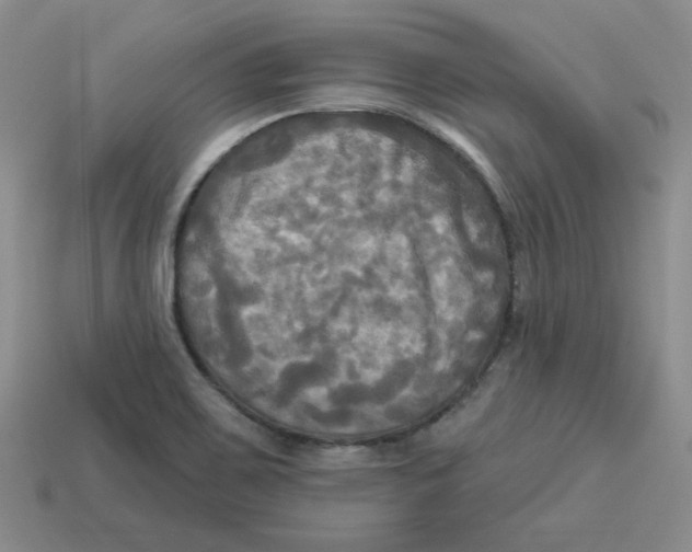 X0000113301467200910131037