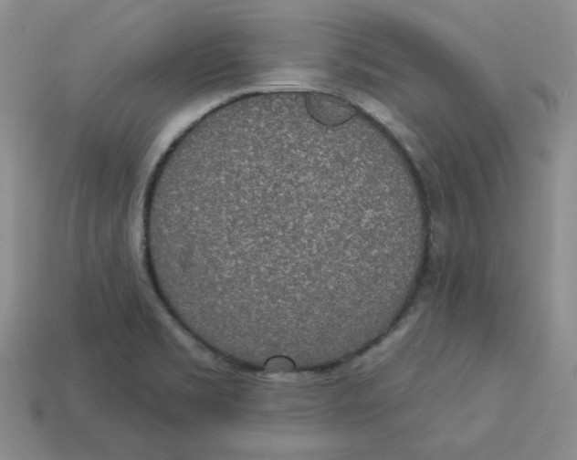 X0000113301469200910131037