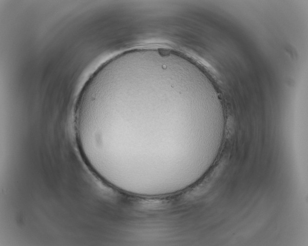 X0000113301470200910131037