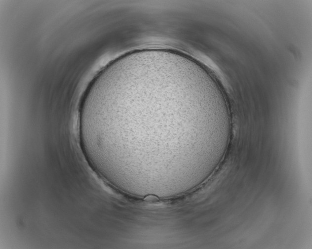 X0000113301472200910131037