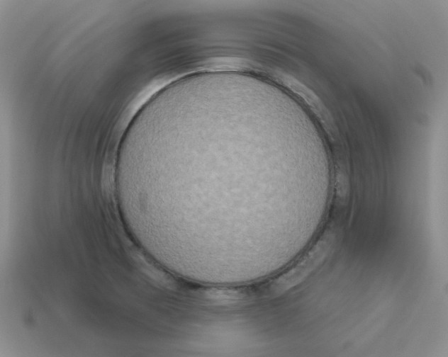 X0000113301473200910131037