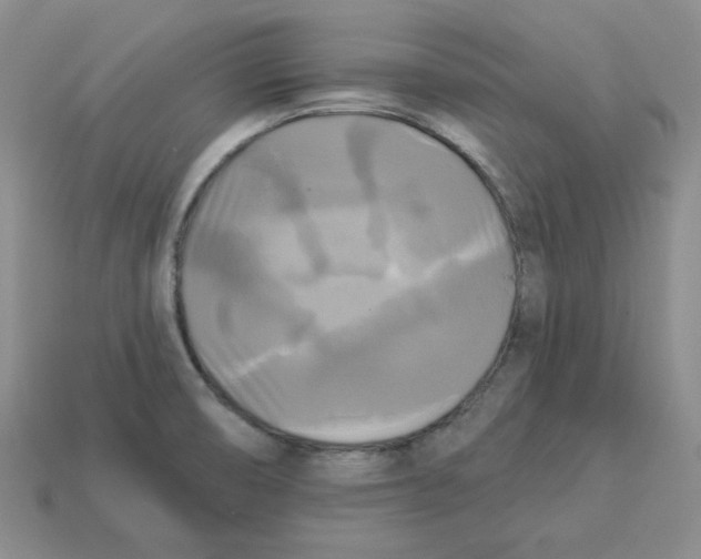 X0000113301474200910131037