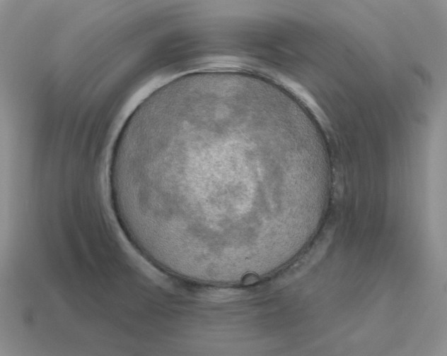 X0000113301475200910131037