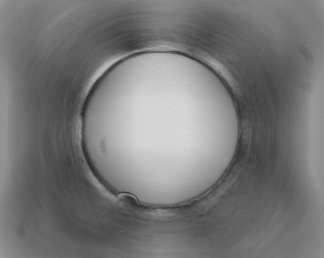 X0000113301476200910131037