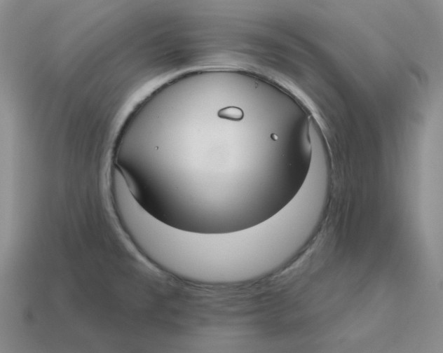 X0000113301477200910131037