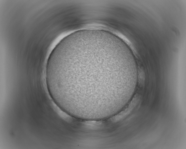 X0000113301478200910131037
