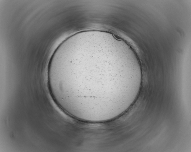 X0000113301479200910131037