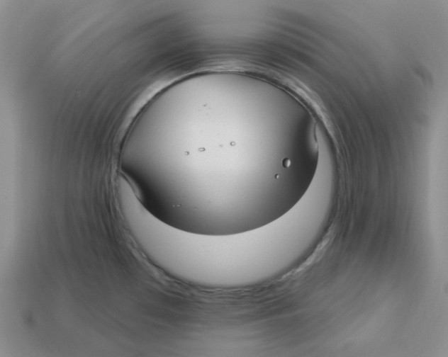 X0000113301481200910131037