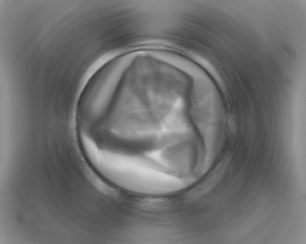 X0000113301482200910131037