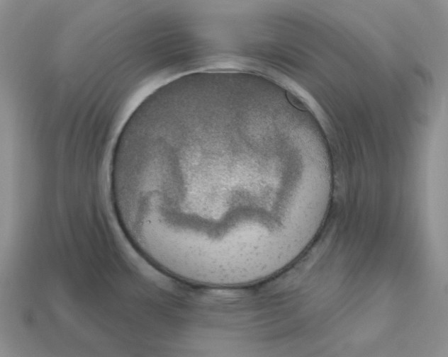 X0000113301483200910131037