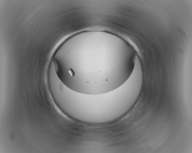 X0000113301484200910131037