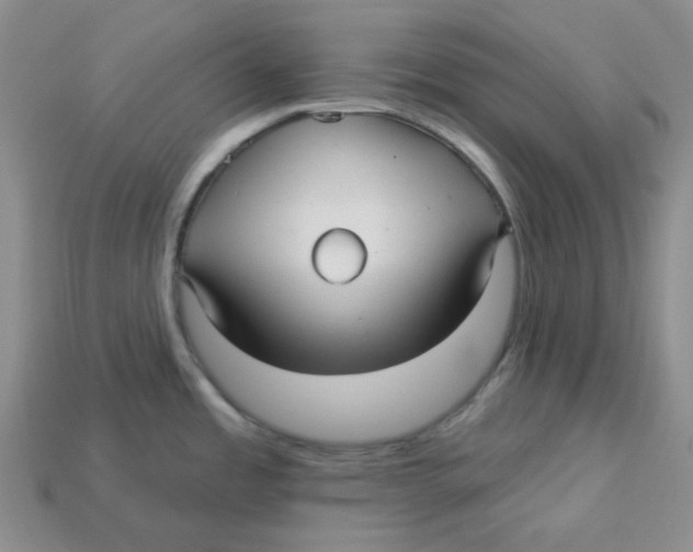 X0000113301485200910131037