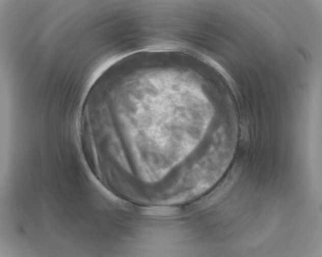 X0000113301487200910131037