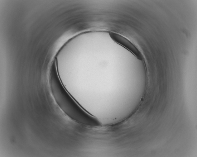 X0000113301488200910131037