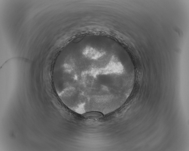 X0000113301489200910131036