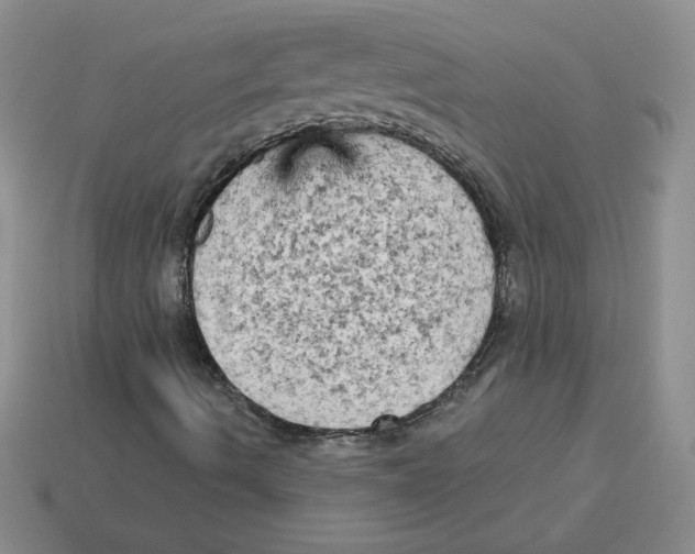X0000113301490200910131036