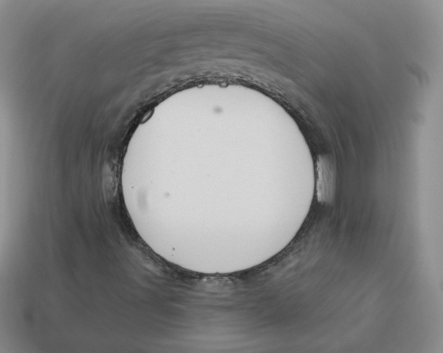 X0000113301491200910131036