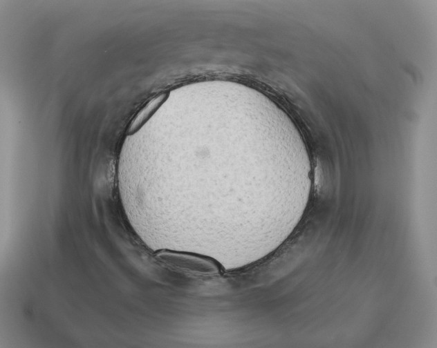 X0000113301492200910131036