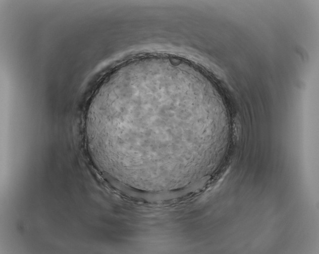 X0000113301494200910131036