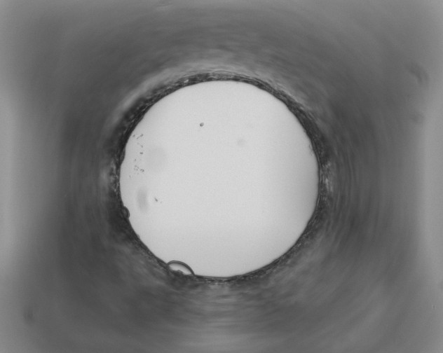 X0000113301495200910131036