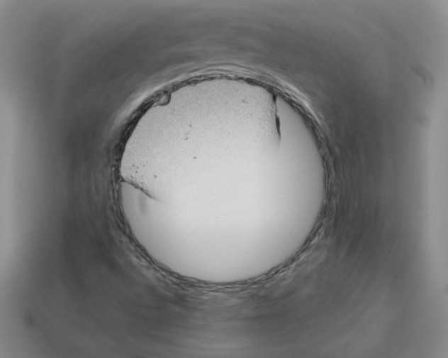 X0000113301496200910131036
