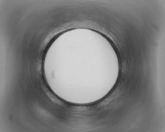 X0000113301499200910131036