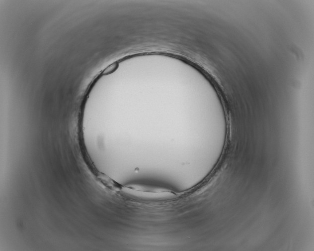 X0000113301500200910131036