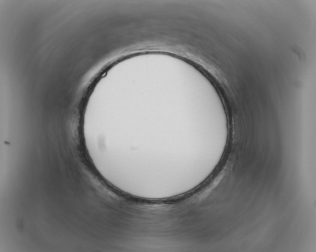 X0000113301502200910131036
