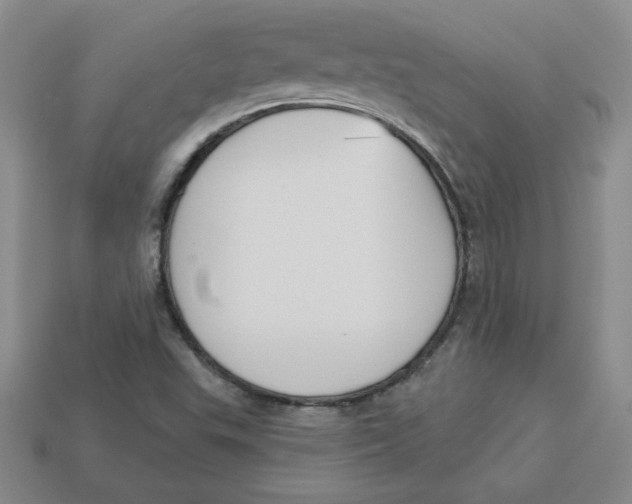 X0000113301503200910131036