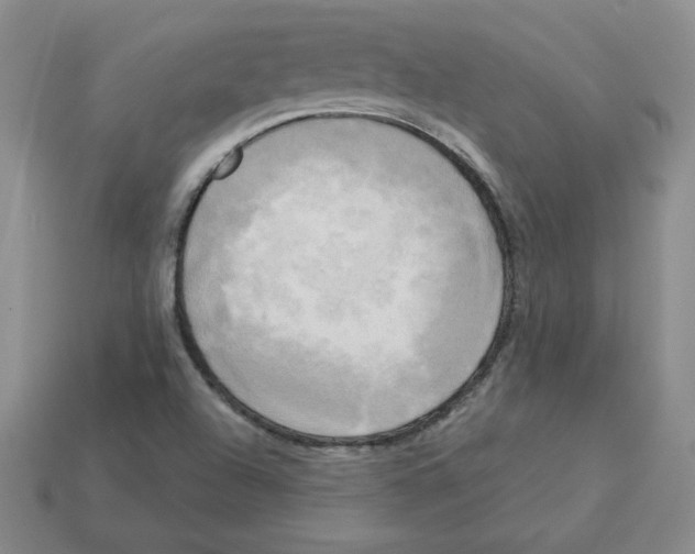 X0000113301504200910131036
