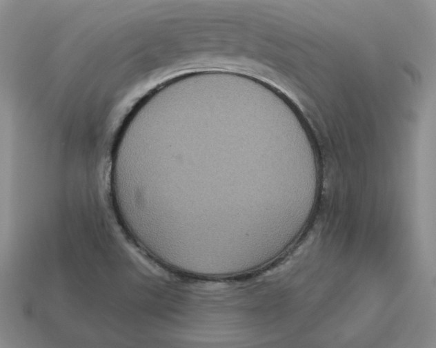 X0000113301507200910131036