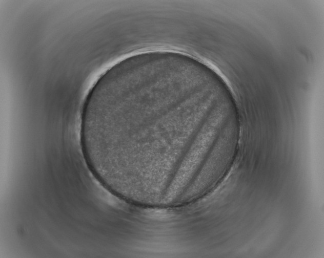X0000113301508200910131036
