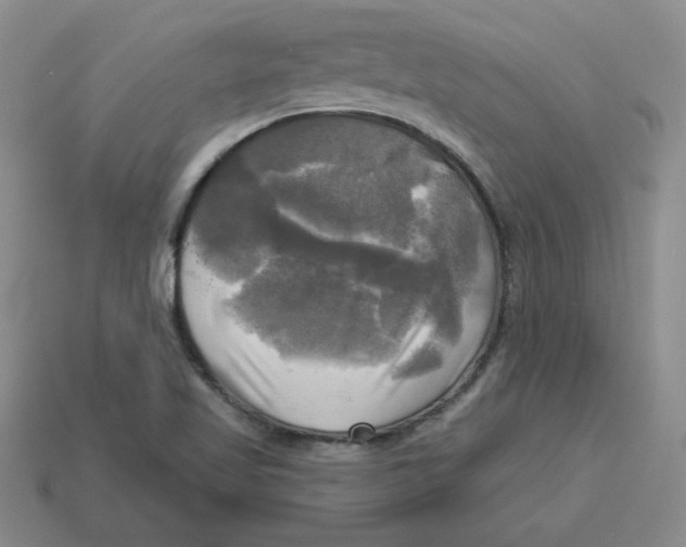 X0000113301509200910131036