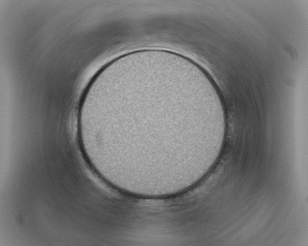 X0000113301511200910131036