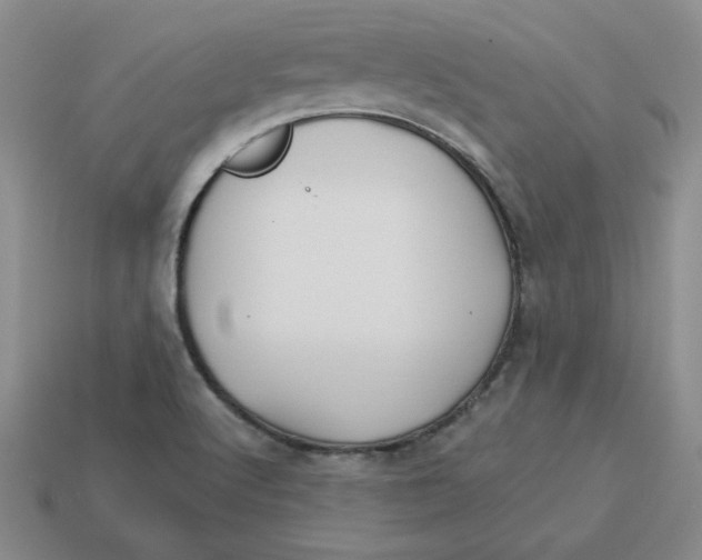 X0000113301512200910131036
